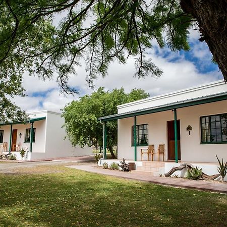 Olive Grove Guest Farm Villa Beaufort West Dış mekan fotoğraf