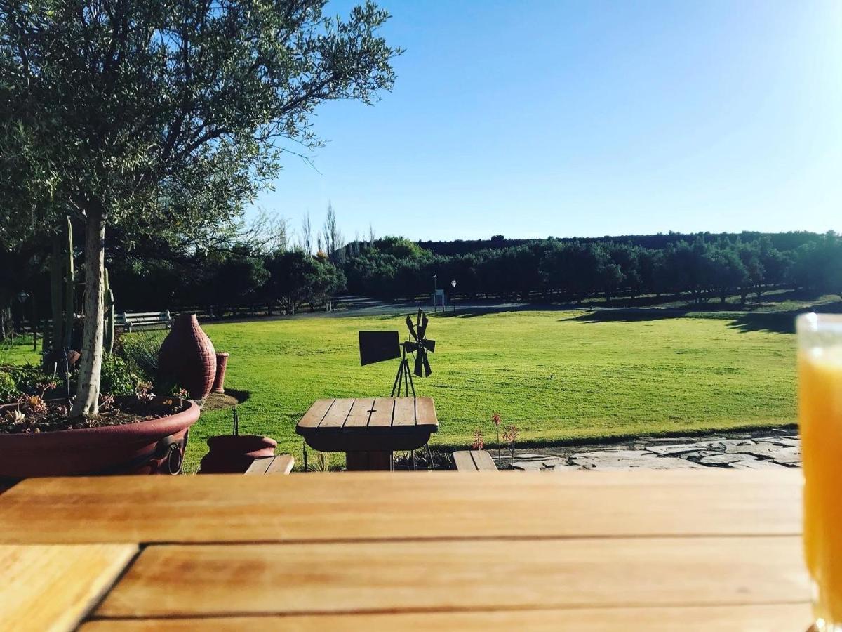 Olive Grove Guest Farm Villa Beaufort West Dış mekan fotoğraf