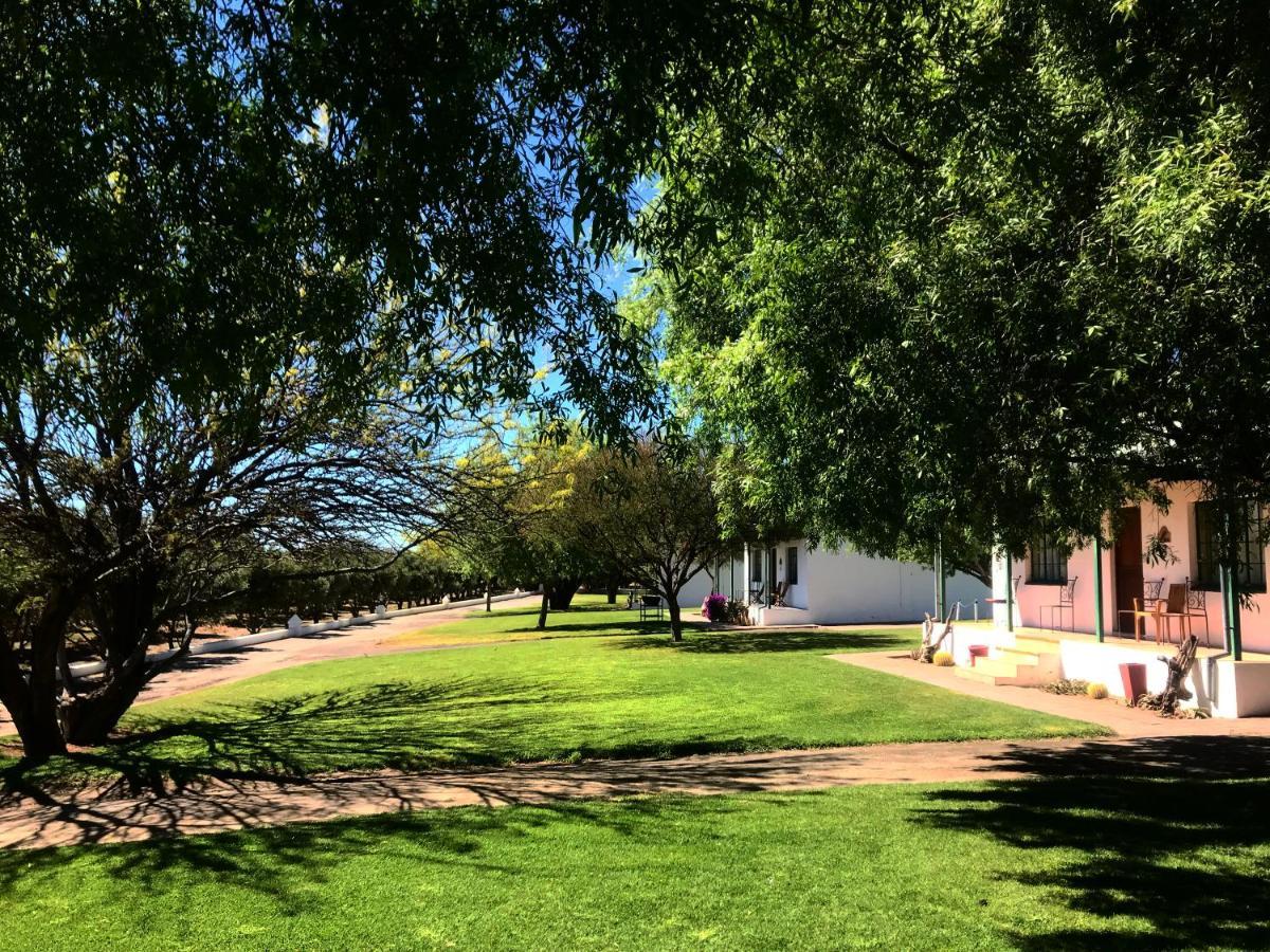 Olive Grove Guest Farm Villa Beaufort West Dış mekan fotoğraf