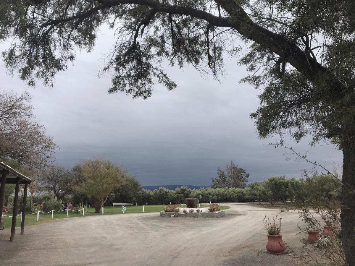 Olive Grove Guest Farm Villa Beaufort West Dış mekan fotoğraf