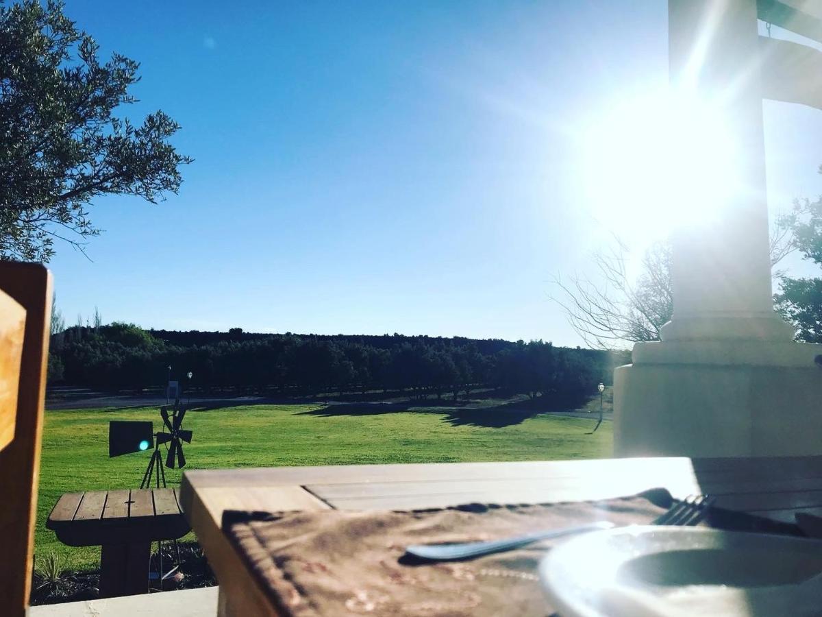 Olive Grove Guest Farm Villa Beaufort West Dış mekan fotoğraf