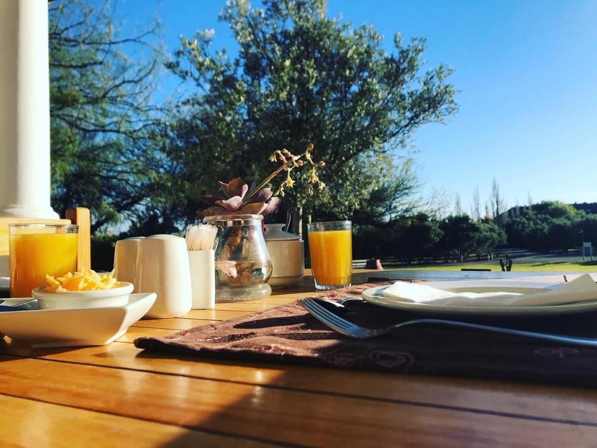 Olive Grove Guest Farm Villa Beaufort West Dış mekan fotoğraf