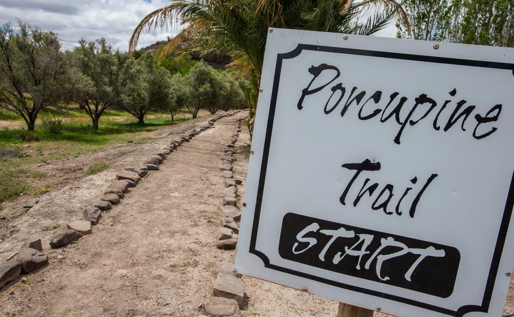 Olive Grove Guest Farm Villa Beaufort West Dış mekan fotoğraf