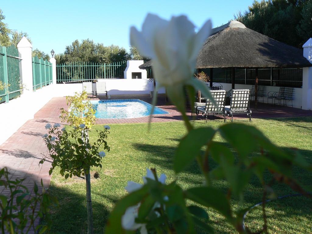 Olive Grove Guest Farm Villa Beaufort West Oda fotoğraf