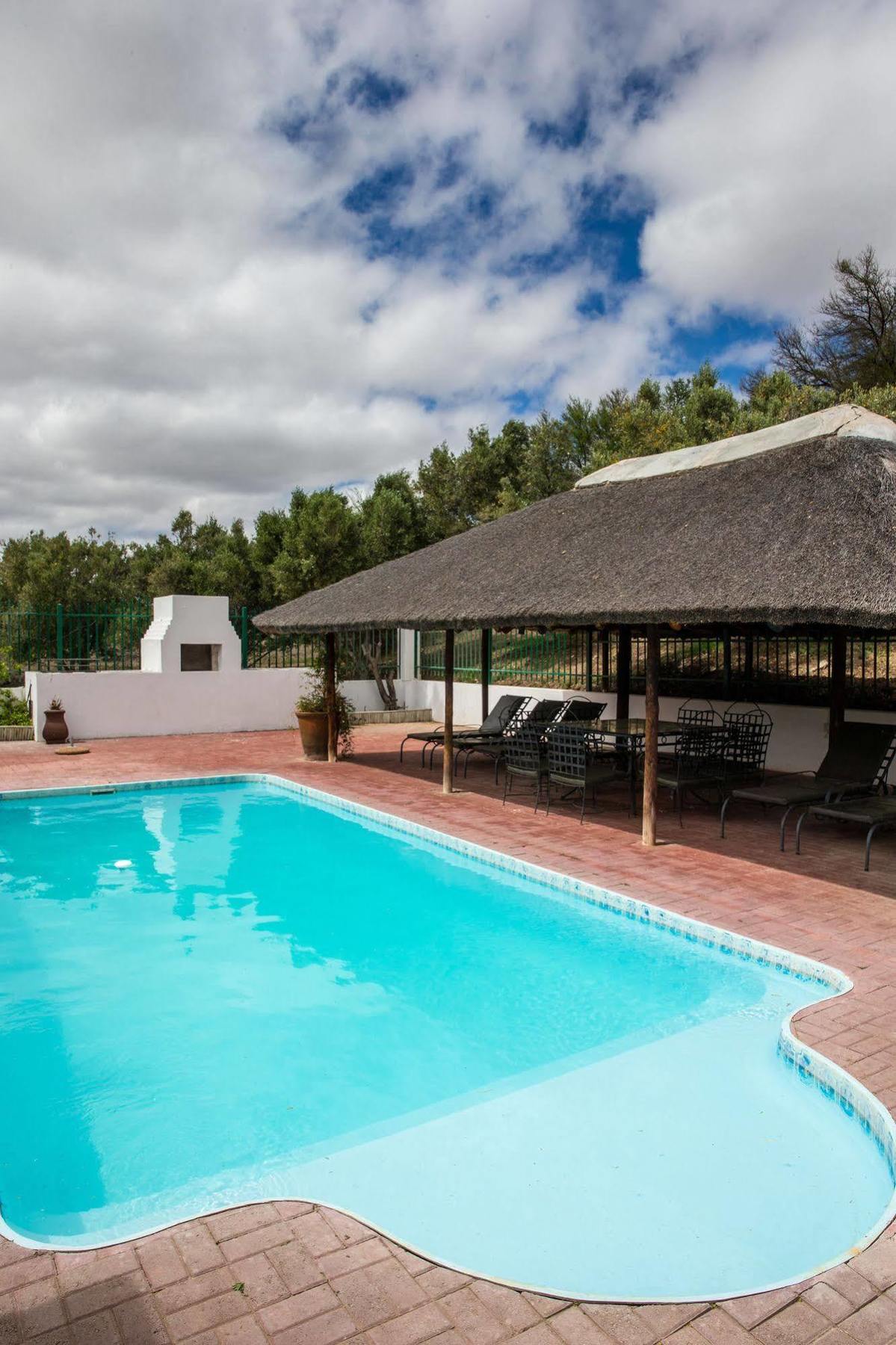 Olive Grove Guest Farm Villa Beaufort West Dış mekan fotoğraf