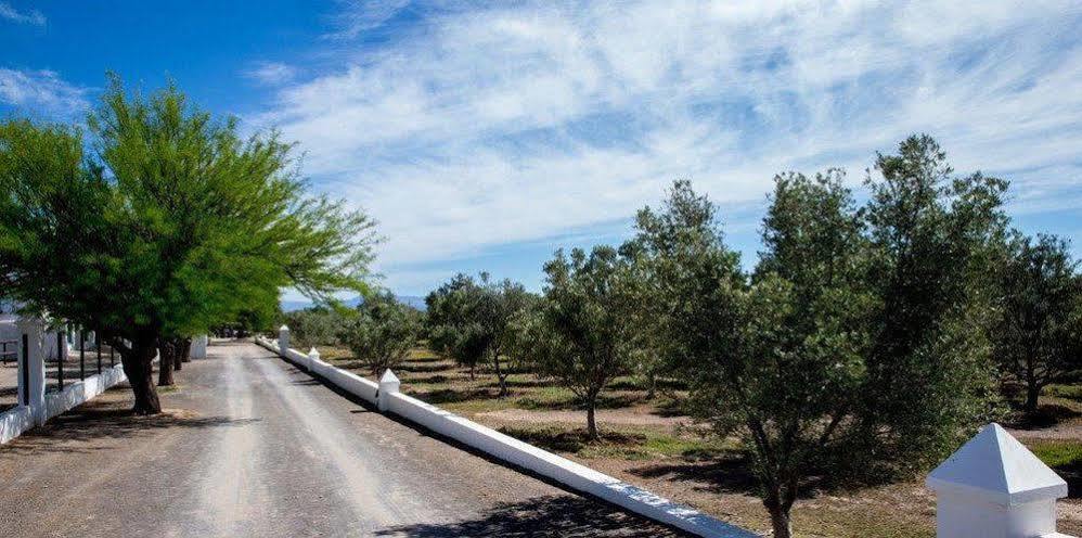 Olive Grove Guest Farm Villa Beaufort West Dış mekan fotoğraf